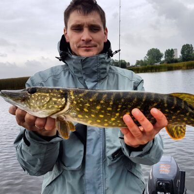 Northern Pike