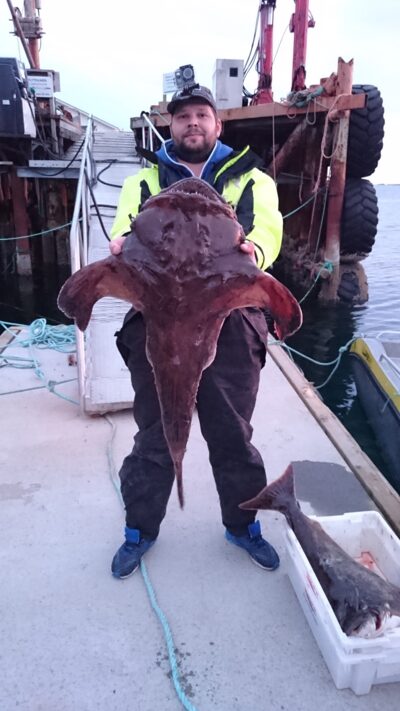 , 10.0 kg — Norwegian Sea