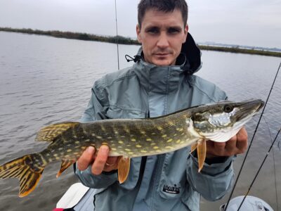 Northern Pike