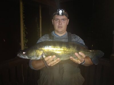 Pike perch, 4.0 kg — Paštys