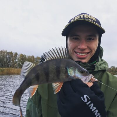 Eurasian perch
