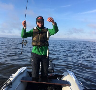 Eurasian perch