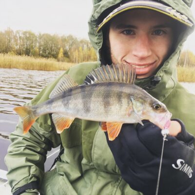 Eurasian perch