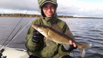 Pike perch
