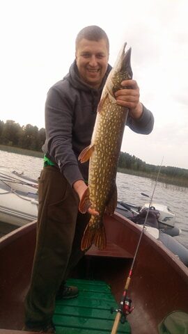 Northern Pike, 4.3 kg