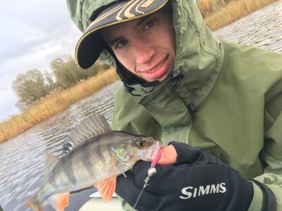 Eurasian perch
