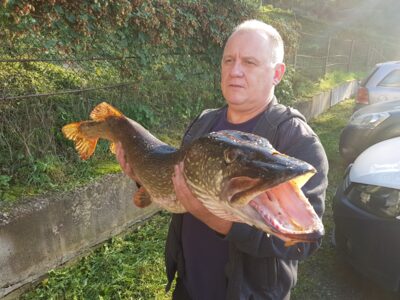 Northern Pike, 10.0 kg