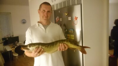 Northern Pike, 2.7 kg