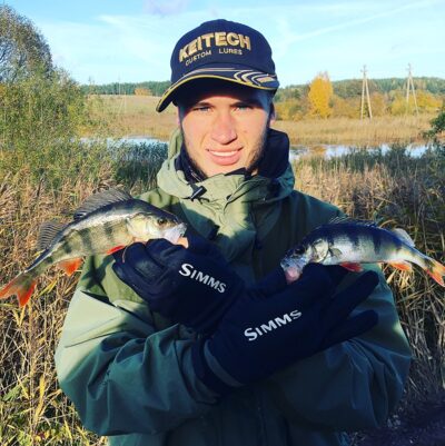 Eurasian perch
