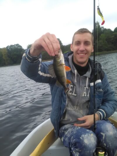 Eurasian perch