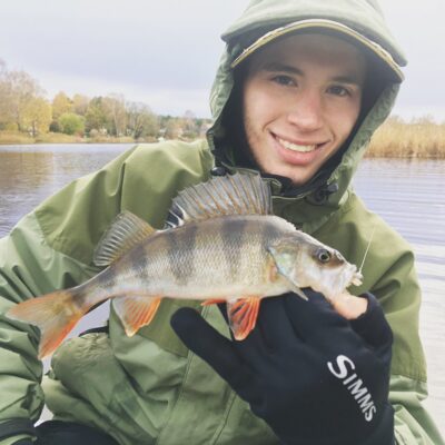 Eurasian perch
