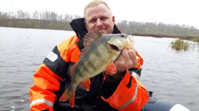 Eurasian perch, 0.6 kg — Angirių