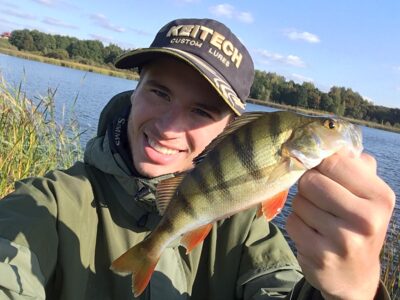 Eurasian perch — Talkša