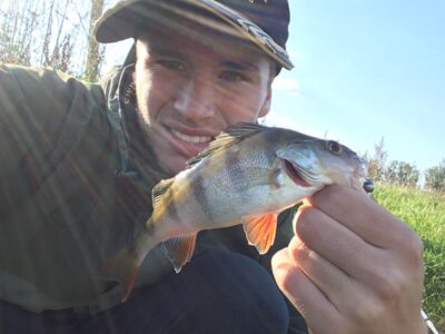 Eurasian perch