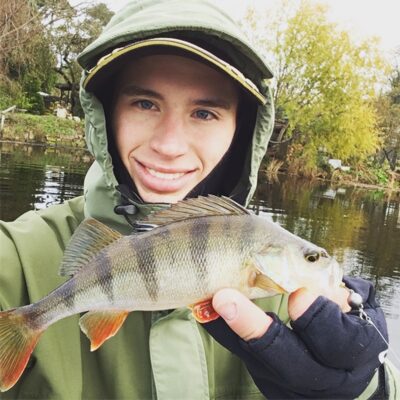 Eurasian perch