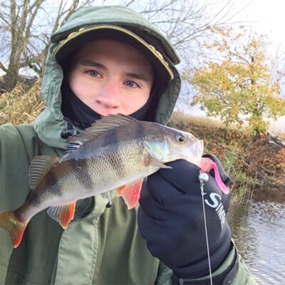 Eurasian perch