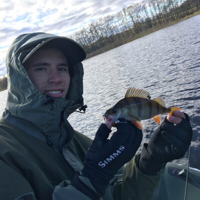 Eurasian perch, 0.3 kg