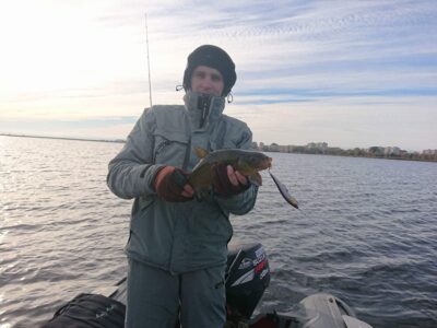 Tench