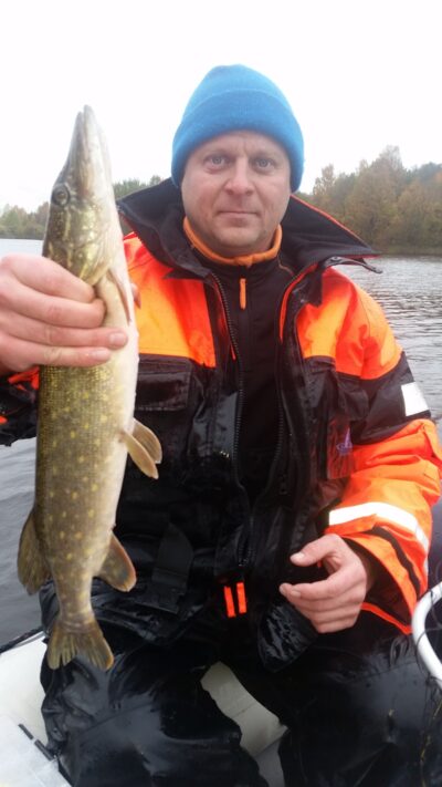 Northern Pike — Angirių