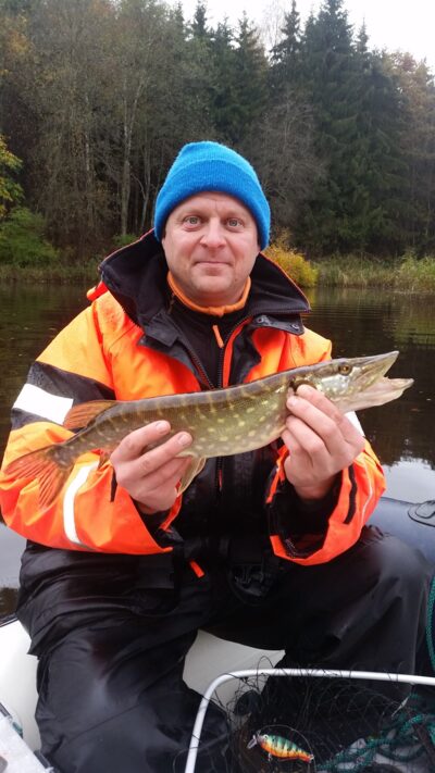 Northern Pike — Angirių