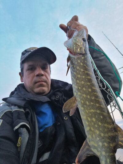 Northern Pike, 1.5 kg