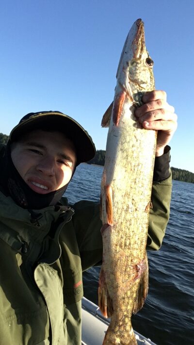 Northern Pike, 2.1 kg
