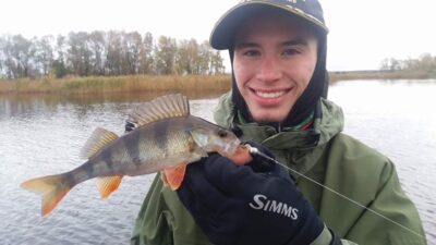 Eurasian perch