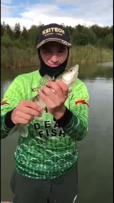 Pike perch