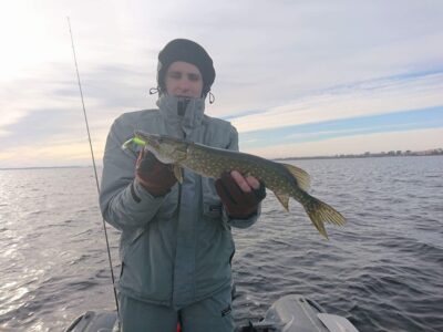 Northern Pike