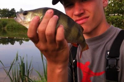 Eurasian perch, 0.4 kg