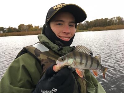 Eurasian perch