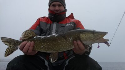 Northern Pike — Luodis