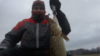 Northern Pike — Luodis