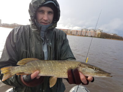 Northern Pike