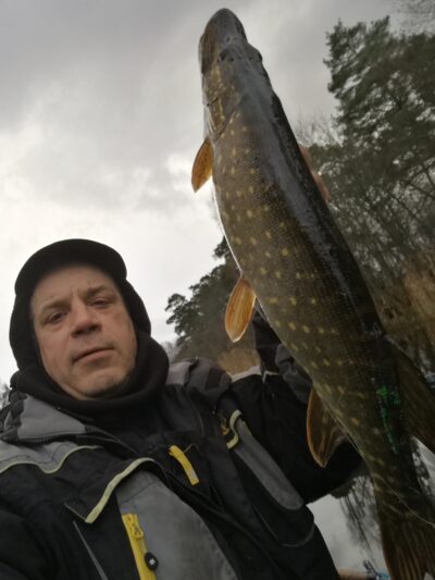 Northern Pike, 1.4 kg