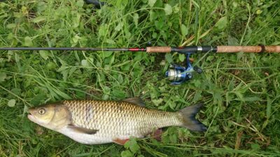chub, 1.9 kg — Šventoji