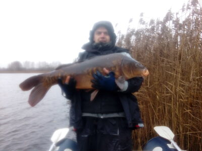 Carp, 12.0 kg
