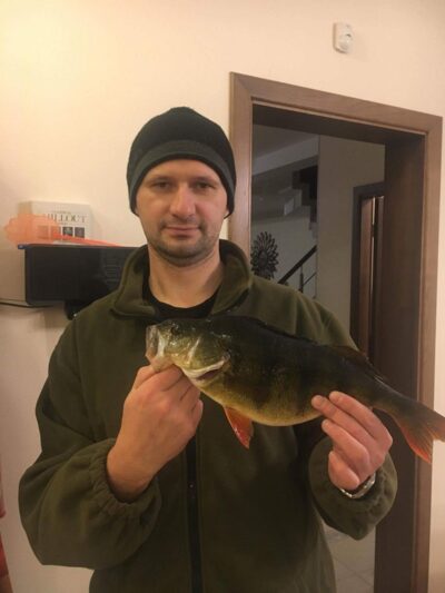 Eurasian perch, 0.9 kg