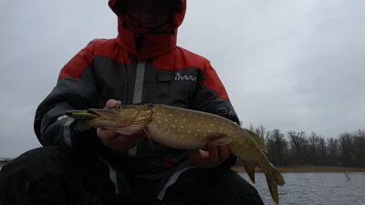 Northern Pike — Širvėnos