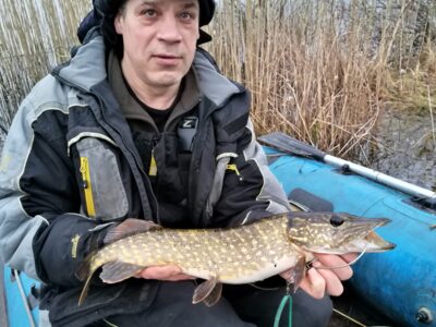 Northern Pike, 1.5 kg