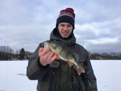 Eurasian perch, 0.4 kg