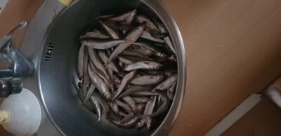 European smelt, 2.2 kg