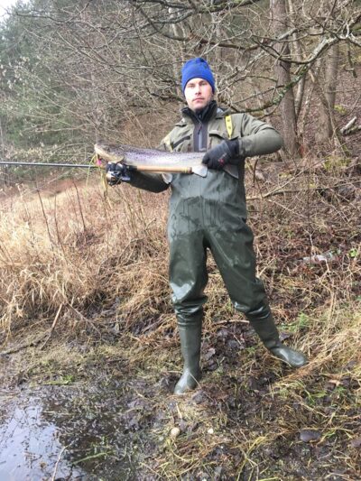 Atlantic salmon