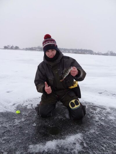 Eurasian perch, 0.5 kg