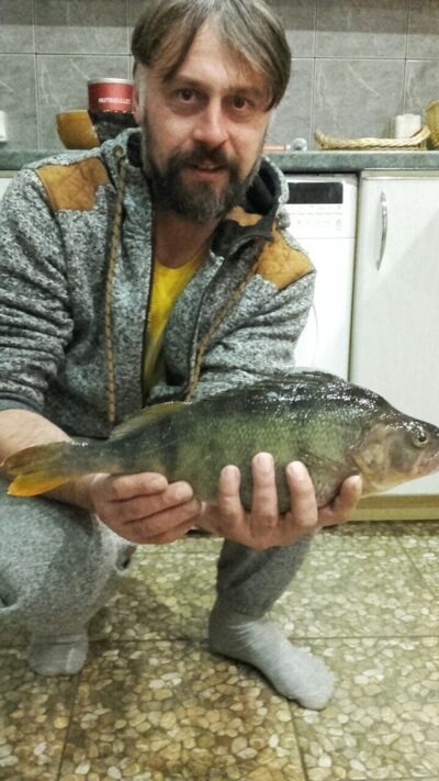 Eurasian perch, 1.1 kg — Druskonis