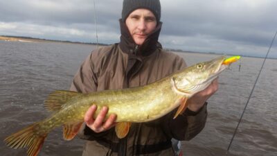Northern Pike, 3.0 kg