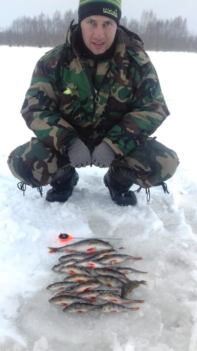 Eurasian perch ×16 — Čičirys