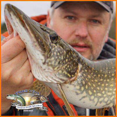 Northern Pike