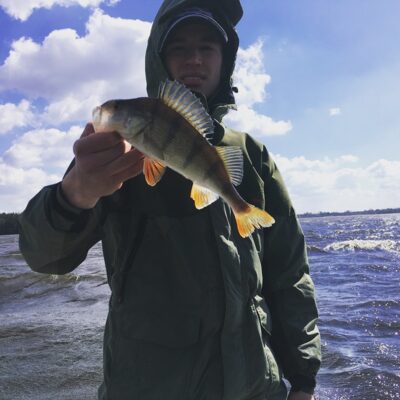 Eurasian perch, 0.4 kg
