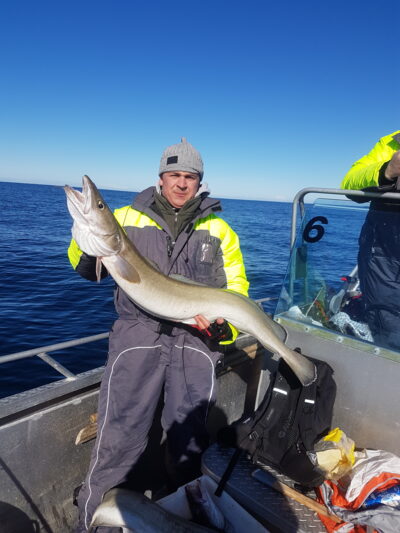 Common ling, 11.0 kg